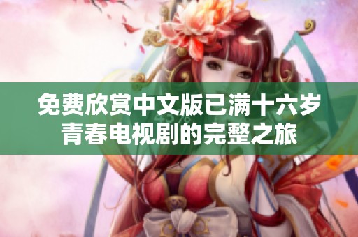 免费欣赏中文版已满十六岁青春电视剧的完整之旅