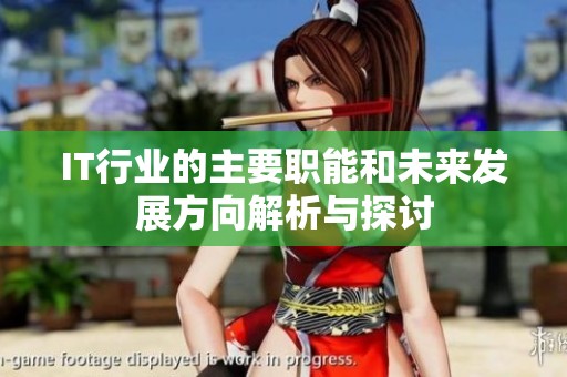 IT行业的主要职能和未来发展方向解析与探讨