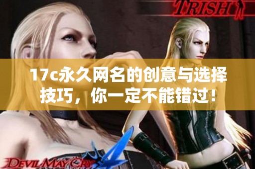 17c永久网名的创意与选择技巧，你一定不能错过！