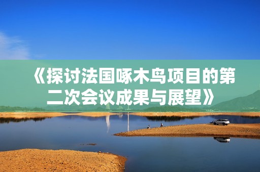 《探讨法国啄木鸟项目的第二次会议成果与展望》