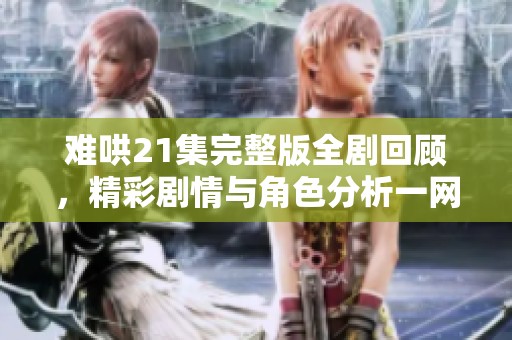 难哄21集完整版全剧回顾，精彩剧情与角色分析一网打尽