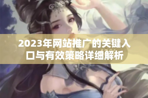 2023年网站推广的关键入口与有效策略详细解析