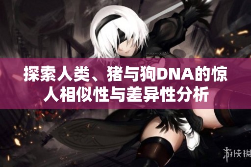 探索人类、猪与狗DNA的惊人相似性与差异性分析