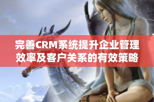 完善CRM系统提升企业管理效率及客户关系的有效策略分析