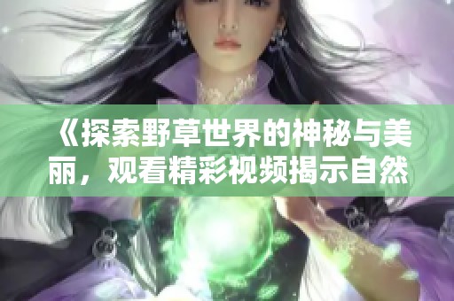 《探索野草世界的神秘与美丽，观看精彩视频揭示自然之韵》