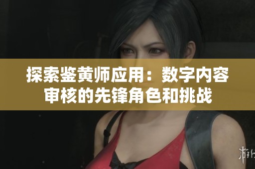 探索鉴黄师应用：数字内容审核的先锋角色和挑战