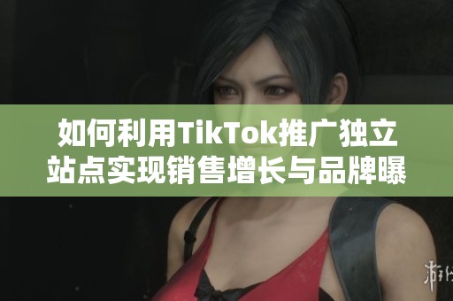 如何利用TikTok推广独立站点实现销售增长与品牌曝光