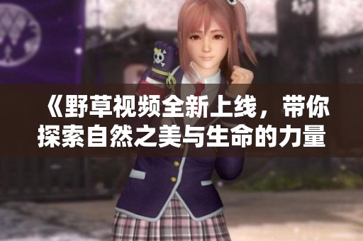 《野草视频全新上线，带你探索自然之美与生命的力量》