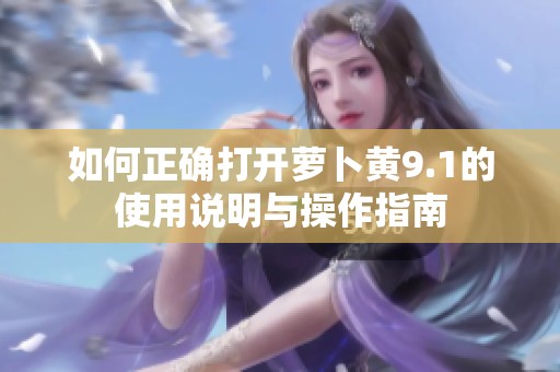 如何正确打开萝卜黄9.1的使用说明与操作指南