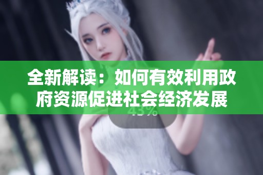 全新解读：如何有效利用政府资源促进社会经济发展