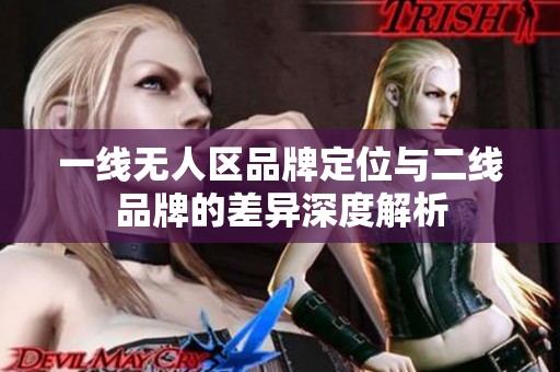 一线无人区品牌定位与二线品牌的差异深度解析