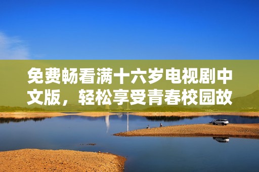 免费畅看满十六岁电视剧中文版，轻松享受青春校园故事