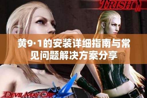 黄9·1的安装详细指南与常见问题解决方案分享