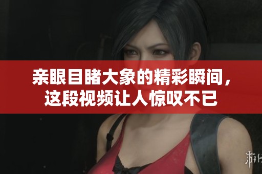 亲眼目睹大象的精彩瞬间，这段视频让人惊叹不已