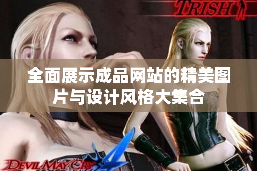 全面展示成品网站的精美图片与设计风格大集合