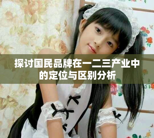 探讨国民品牌在一二三产业中的定位与区别分析