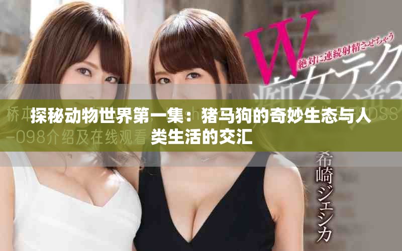 探秘动物世界第一集：猪马狗的奇妙生态与人类生活的交汇