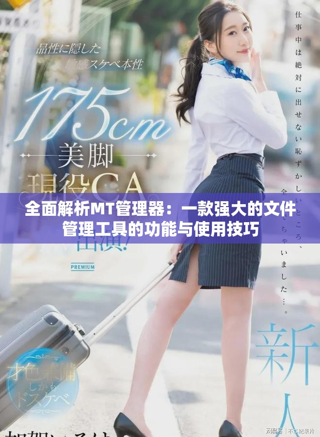全面解析MT管理器：一款强大的文件管理工具的功能与使用技巧