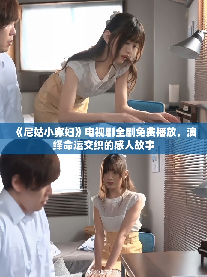 《尼姑小寡妇》电视剧全剧免费播放，演绎命运交织的感人故事