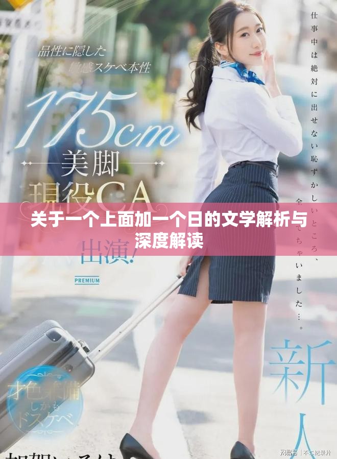 关于一个上面加一个日的文学解析与深度解读