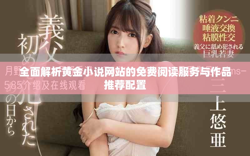 全面解析黄金小说网站的免费阅读服务与作品推荐配置