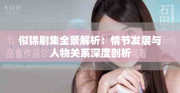 似锦剧集全景解析：情节发展与人物关系深度剖析