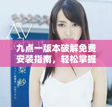 九点一版本破解免费安装指南，轻松掌握步骤与技巧