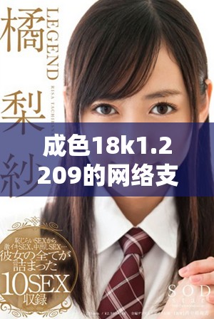 成色18k1.2209的网络支持情况是5G还是4G具体解析