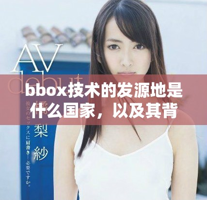 bbox技术的发源地是什么国家，以及其背后的发展历程揭秘