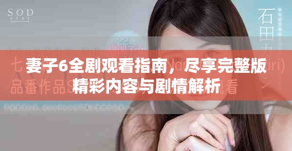 妻子6全剧观看指南，尽享完整版精彩内容与剧情解析