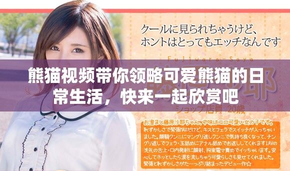 熊猫视频带你领略可爱熊猫的日常生活，快来一起欣赏吧