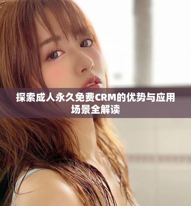 探索成人永久免费CRM的优势与应用场景全解读