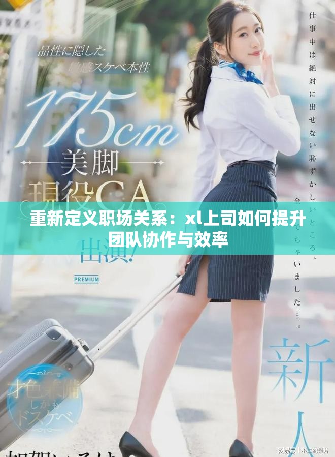 重新定义职场关系：xl上司如何提升团队协作与效率