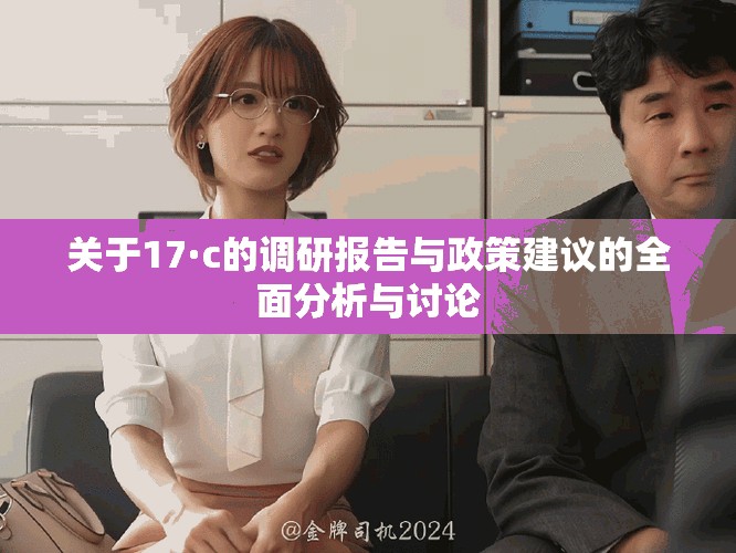 关于17·c的调研报告与政策建议的全面分析与讨论