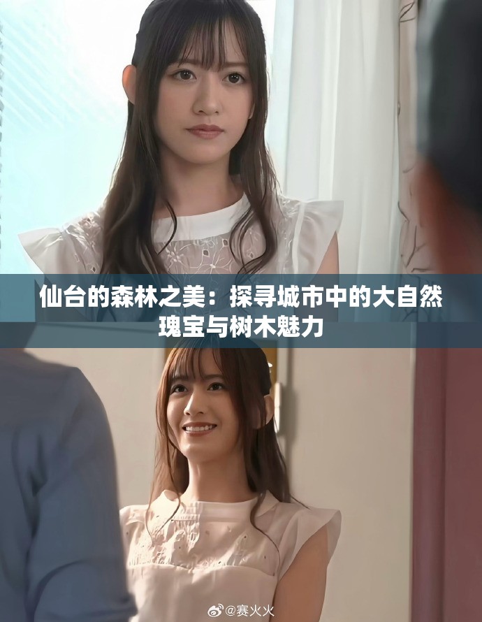 仙台的森林之美：探寻城市中的大自然瑰宝与树木魅力
