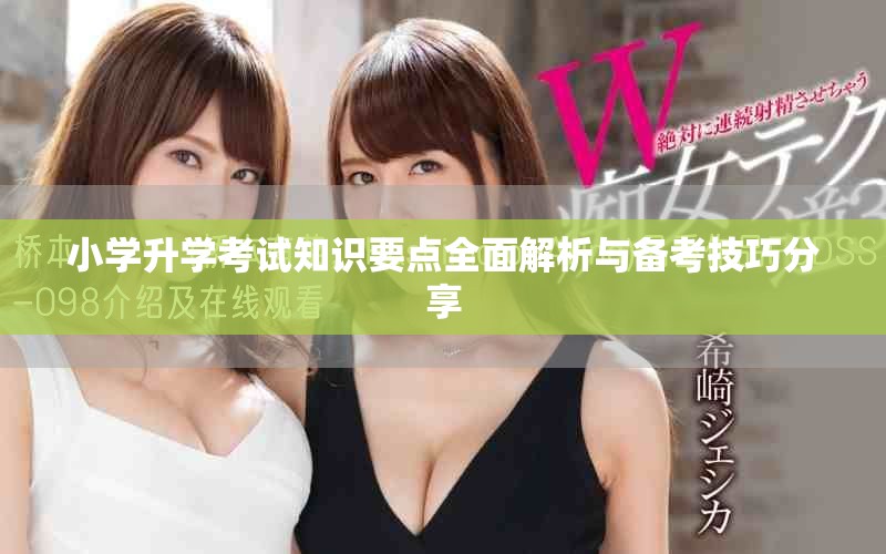 小学升学考试知识要点全面解析与备考技巧分享