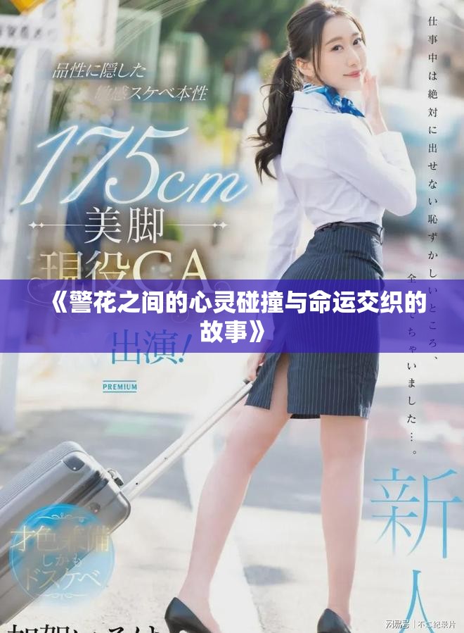 《警花之间的心灵碰撞与命运交织的故事》