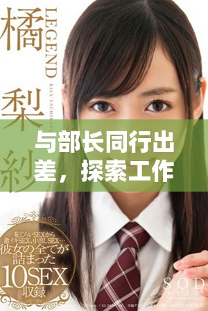 与部长同行出差，探索工作与生活的精彩旅程
