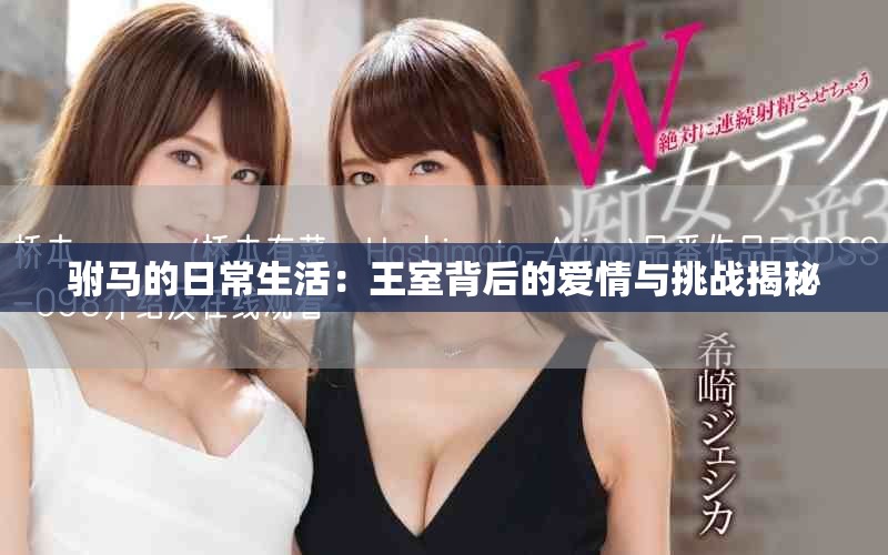 驸马的日常生活：王室背后的爱情与挑战揭秘