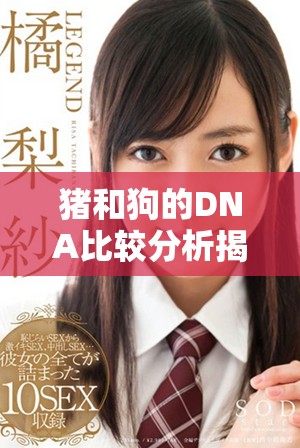 猪和狗的DNA比较分析揭示独特的遗传特征与相似之处