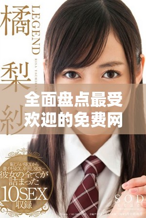 全面盘点最受欢迎的免费网站安全防护软件推荐与评测