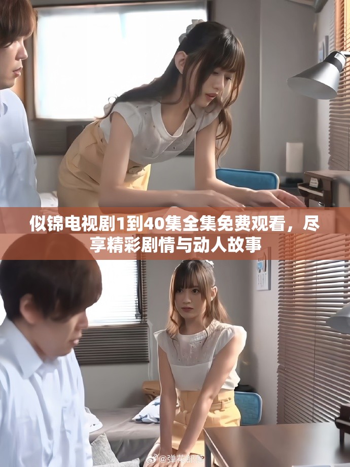 似锦电视剧1到40集全集免费观看，尽享精彩剧情与动人故事