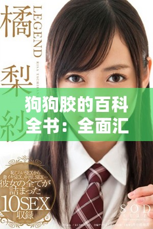 狗狗胶的百科全书：全面汇总各类人狗胶配方与使用指南