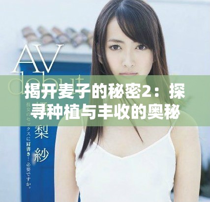 揭开麦子的秘密2：探寻种植与丰收的奥秘与技巧