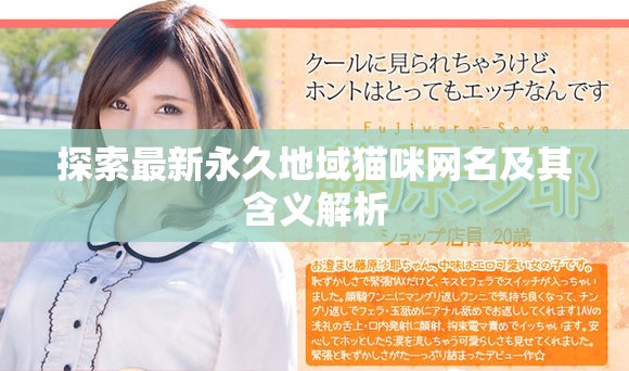 探索最新永久地域猫咪网名及其含义解析