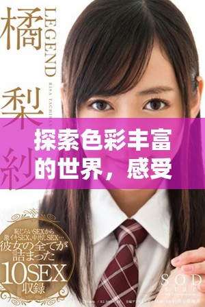 探索色彩丰富的世界，感受美与艺术的奇妙结合