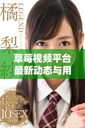 草莓视频平台最新动态与用户使用指南全面介绍