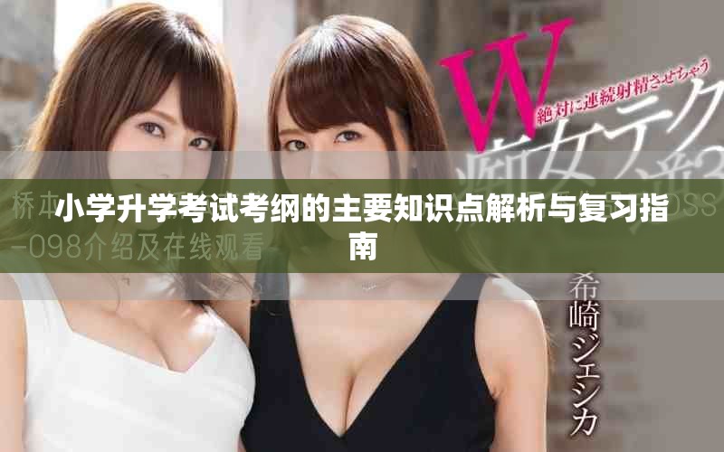 小学升学考试考纲的主要知识点解析与复习指南 小学升学考试考纲的主要知识点解析与复习指南