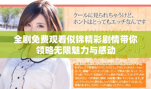 全剧免费观看似锦精彩剧情带你领略无限魅力与感动