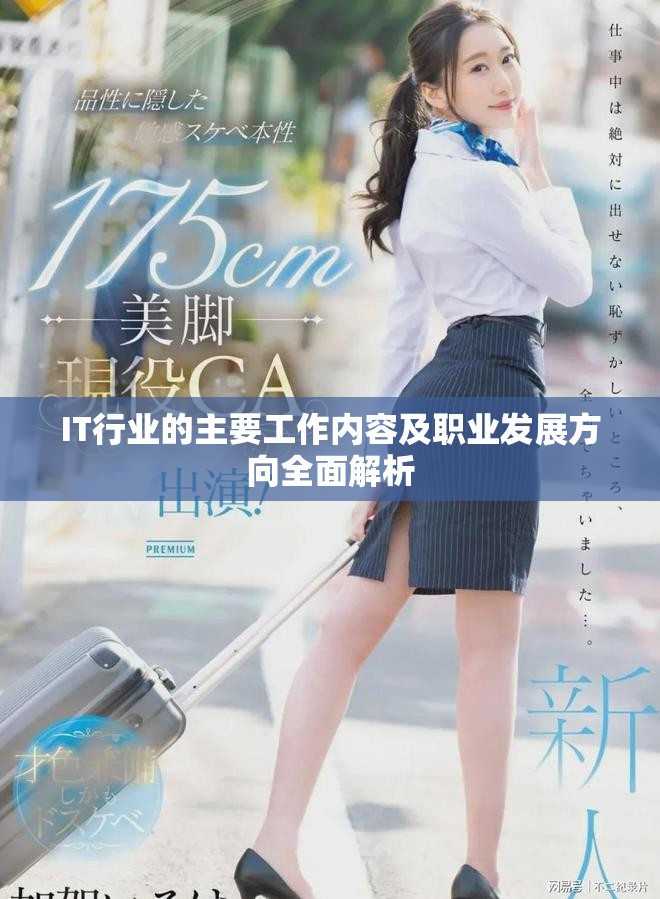 IT行业的主要工作内容及职业发展方向全面解析 IT行业的主要工作内容及职业发展方向全面解析